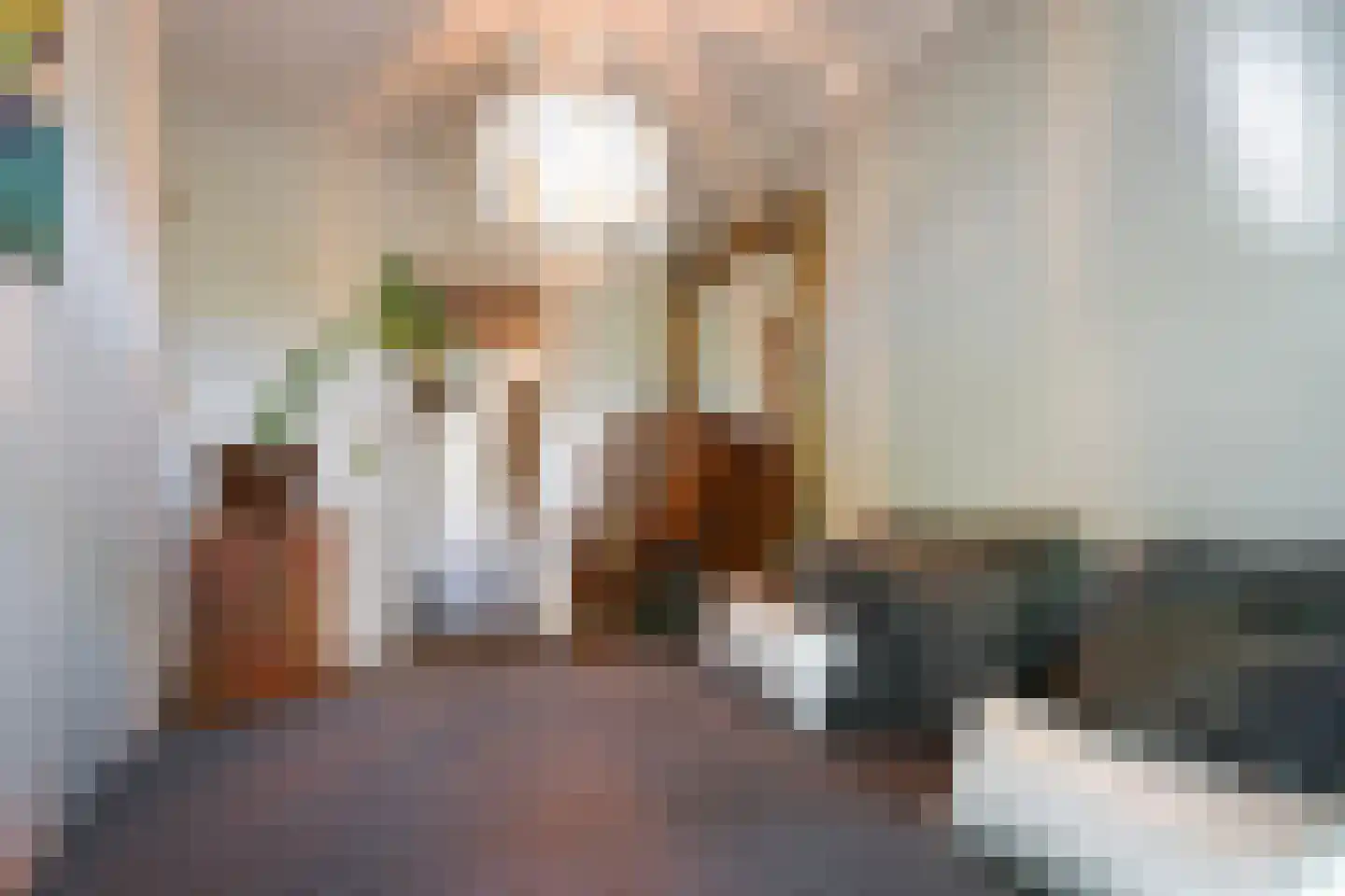 van Halewijnlaan 322 Voorburg thumbnail 23