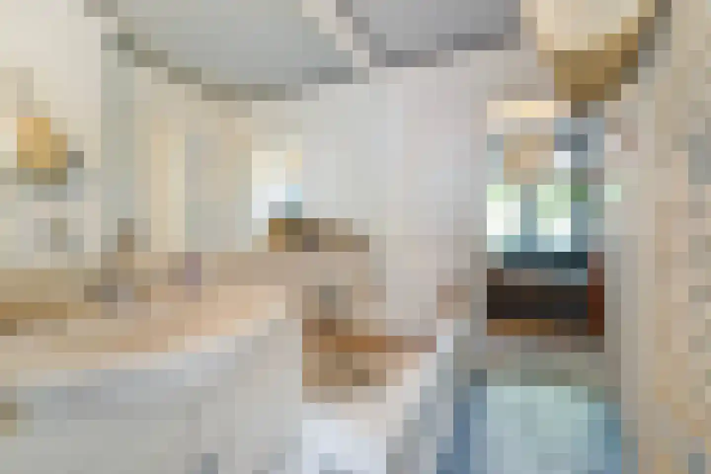 van Halewijnlaan 322 Voorburg thumbnail 25