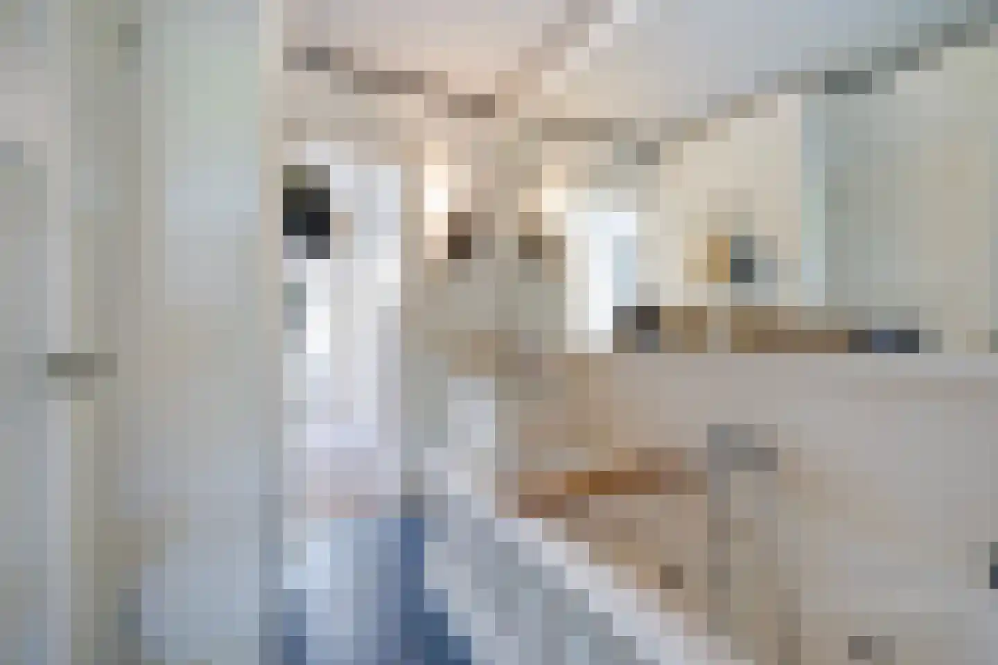 van Halewijnlaan 322 Voorburg thumbnail 27