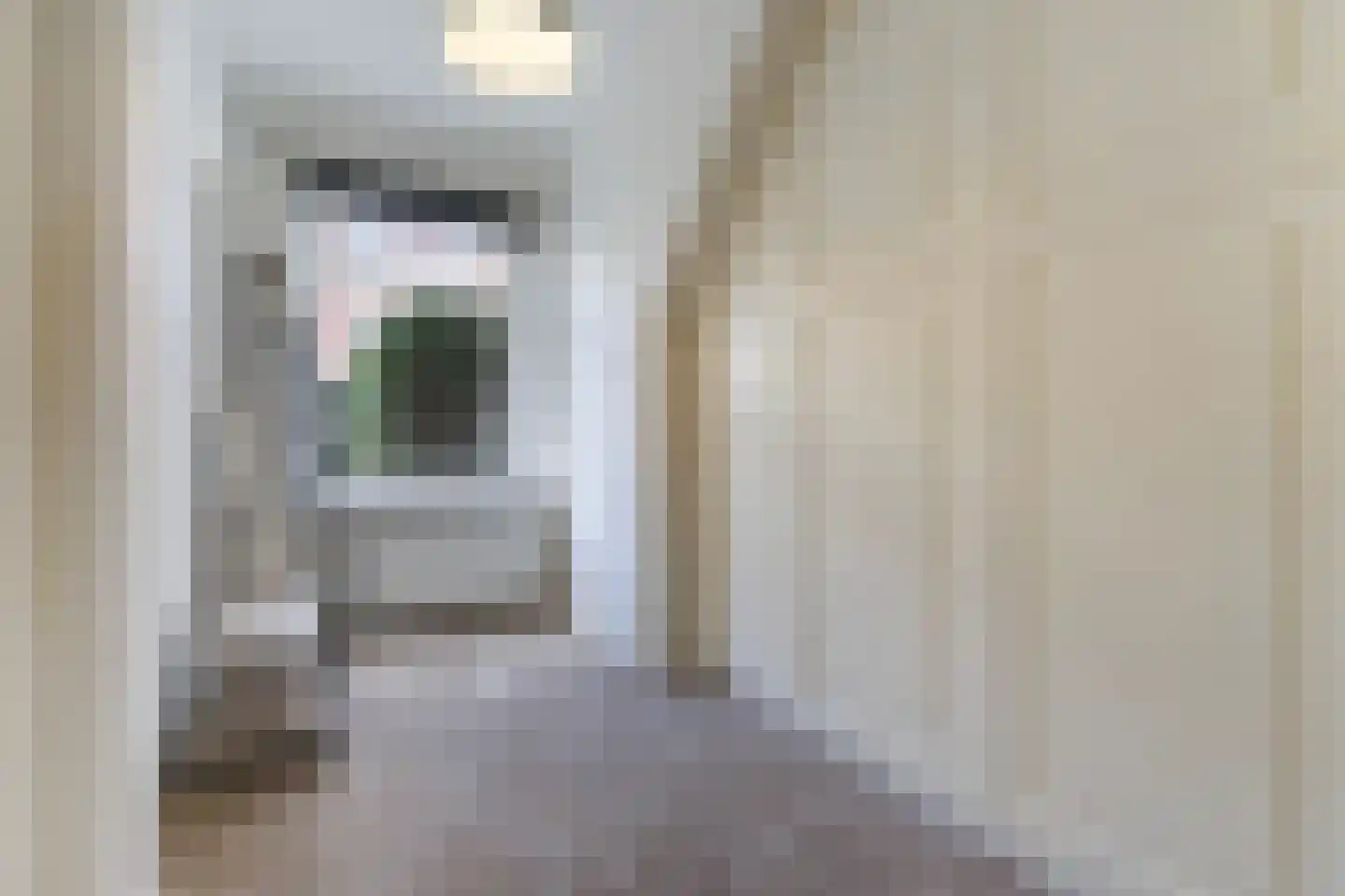 van Halewijnlaan 322 Voorburg thumbnail 32