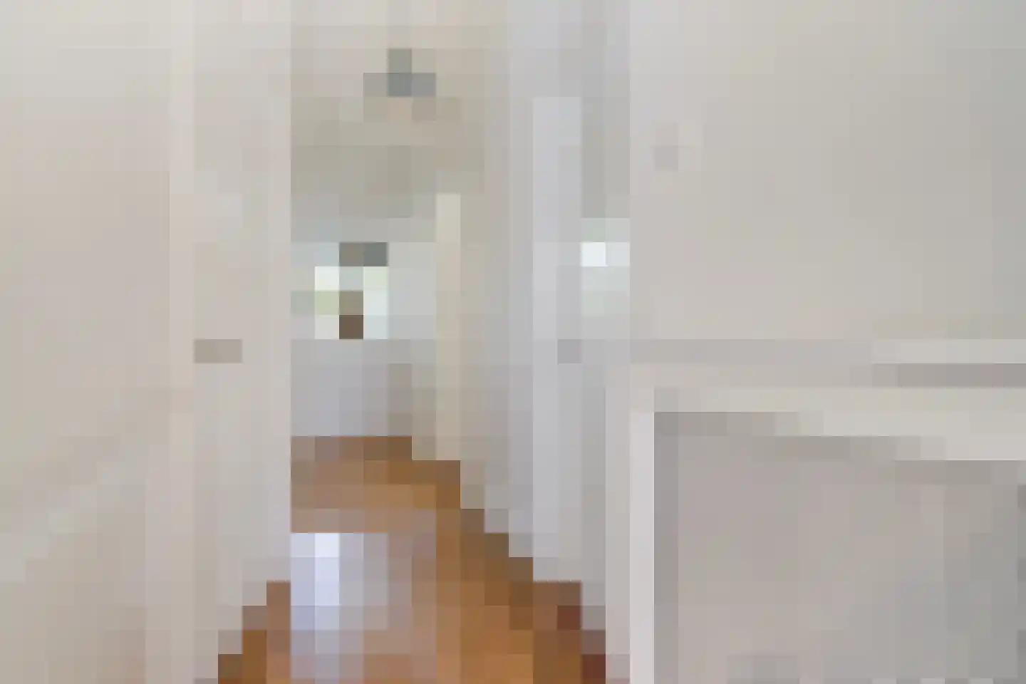 van Halewijnlaan 322 Voorburg thumbnail 35