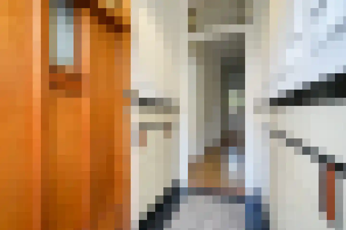 van Halewijnlaan 322 Voorburg thumbnail 36