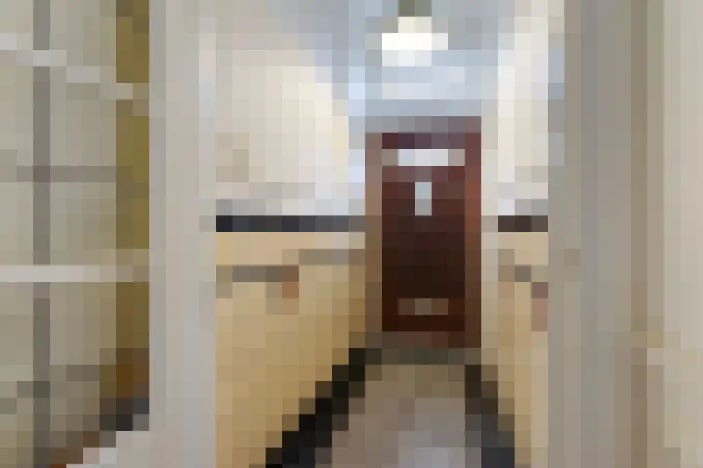 van Halewijnlaan 322 Voorburg thumbnail 37