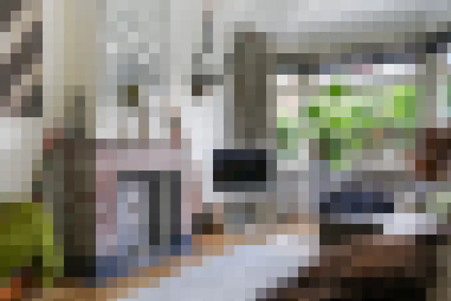 van Halewijnlaan 322 Voorburg thumbnail 4