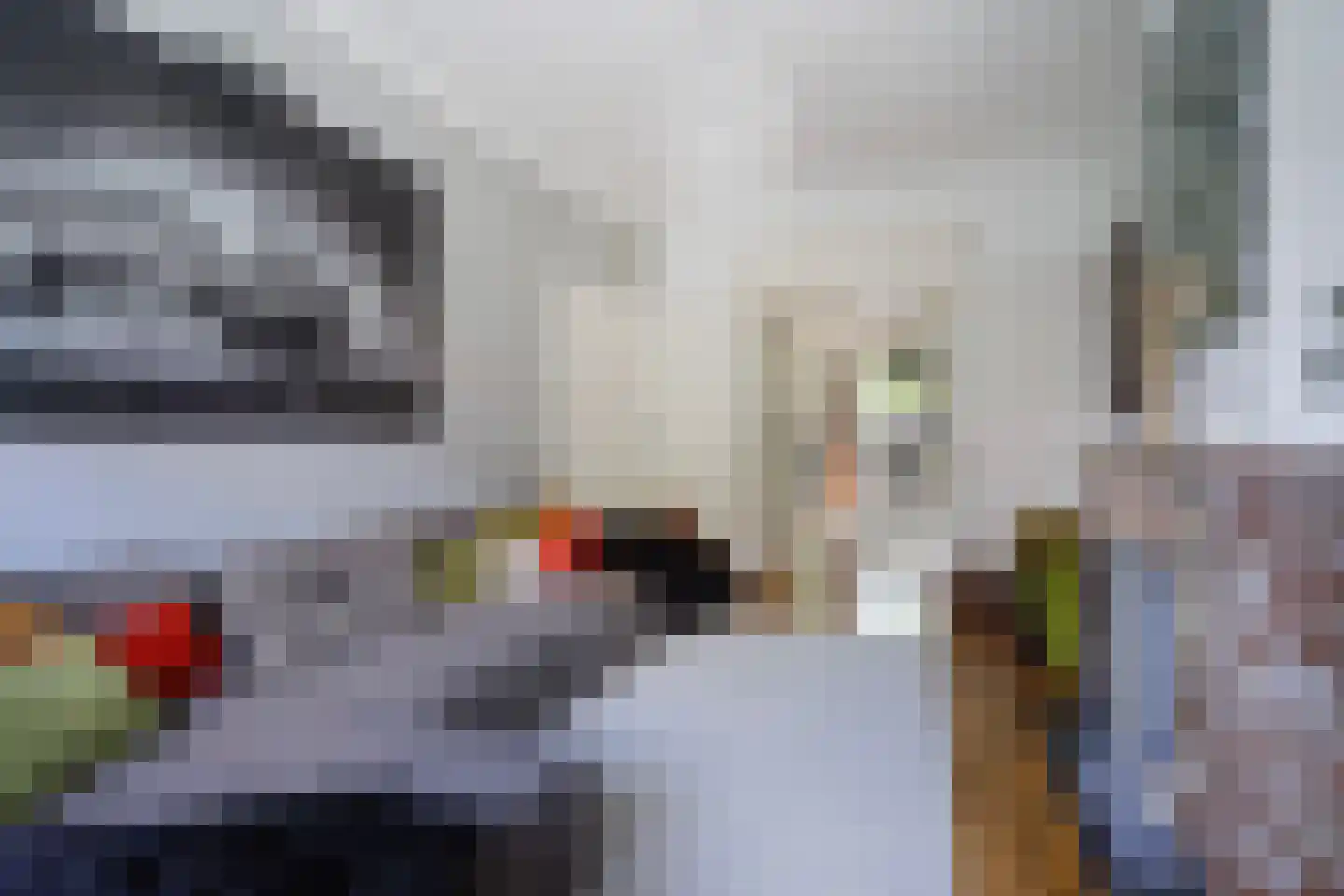 van Halewijnlaan 322 Voorburg thumbnail 5