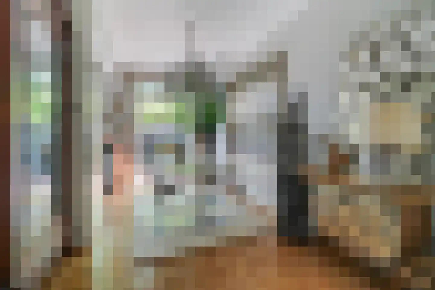 van Halewijnlaan 322 Voorburg thumbnail 8