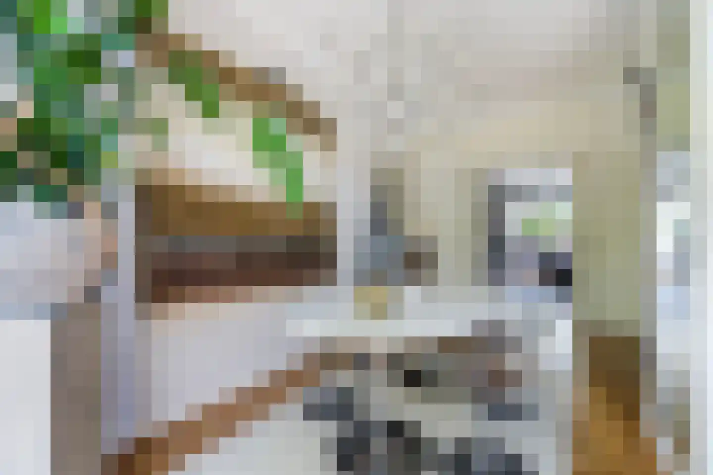 van Halewijnlaan 322 Voorburg thumbnail 9