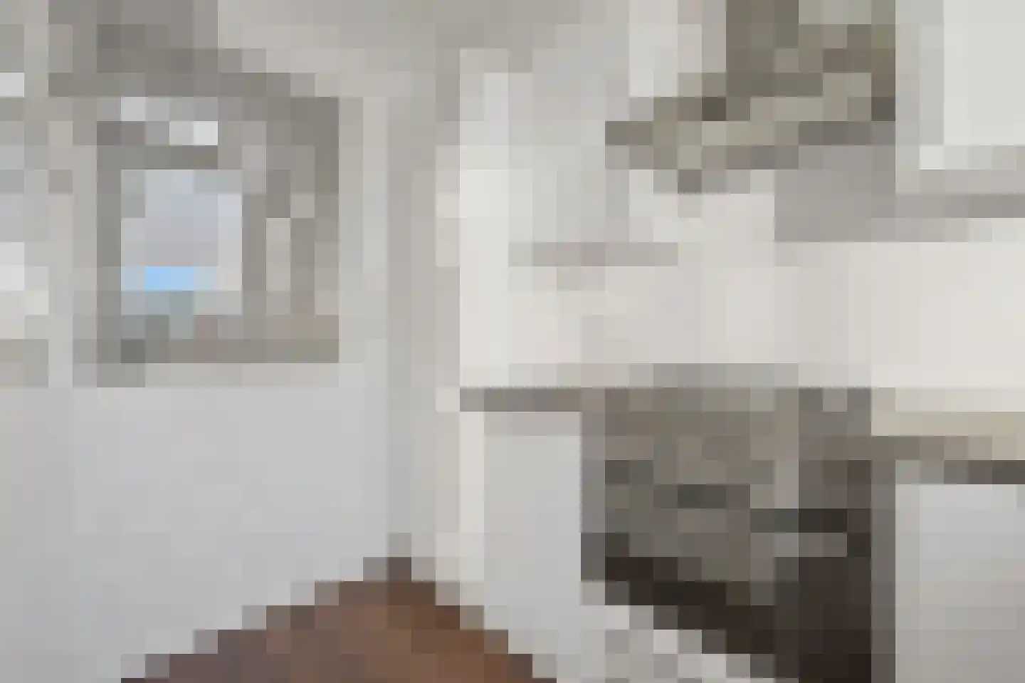 van Halewijnlaan 338 Voorburg thumbnail 10