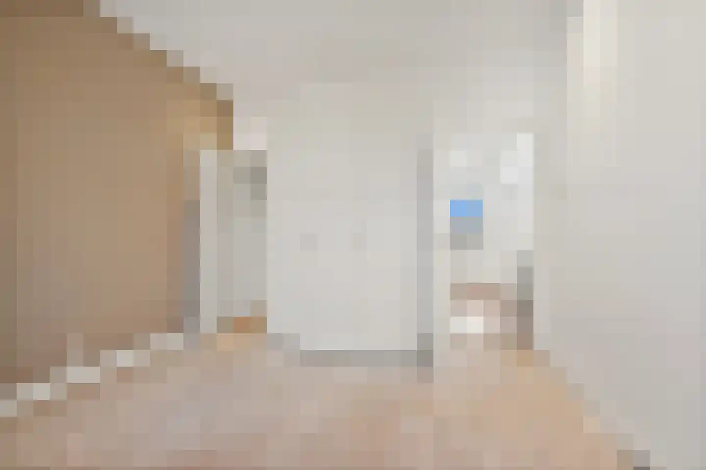 van Halewijnlaan 338 Voorburg thumbnail 22