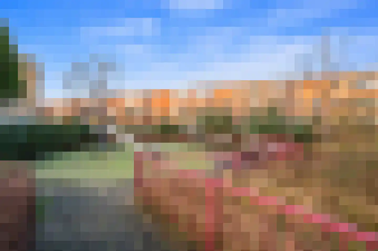 van Halewijnlaan 338 Voorburg thumbnail 26