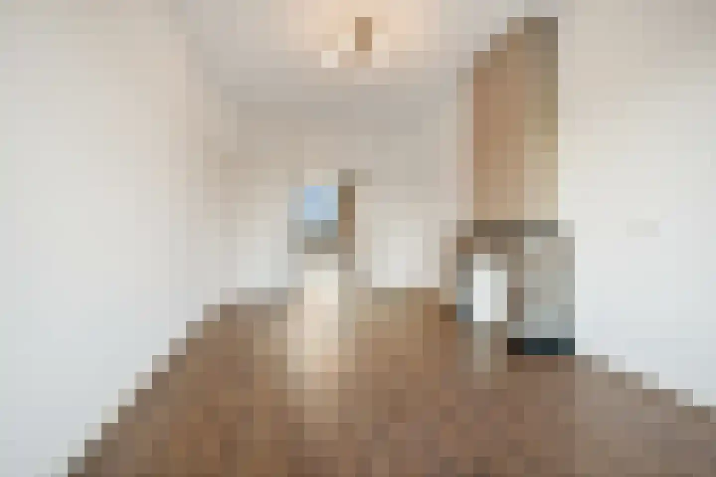 van Halewijnlaan 338 Voorburg thumbnail 6