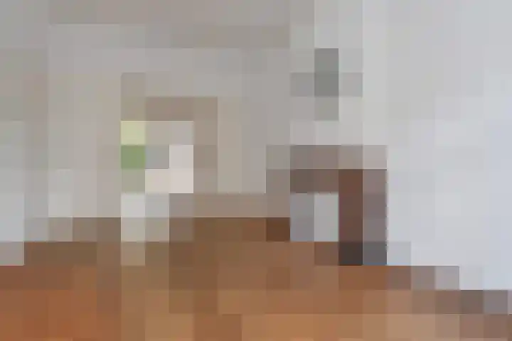 van Halewijnlaan 346 Voorburg thumbnail 10