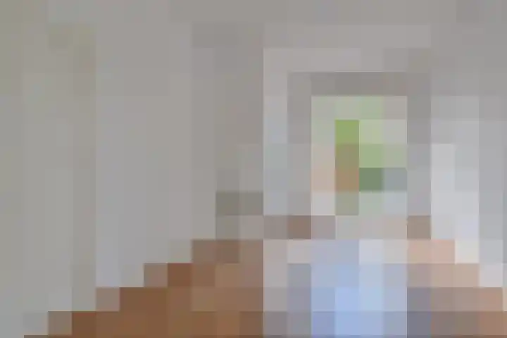 van Halewijnlaan 346 Voorburg thumbnail 15