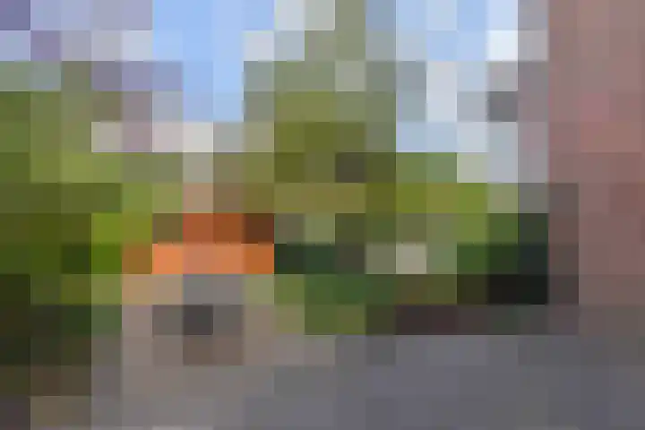 van Halewijnlaan 346 Voorburg thumbnail 17