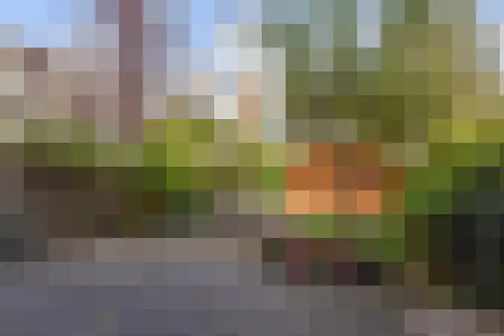 van Halewijnlaan 346 Voorburg thumbnail 18