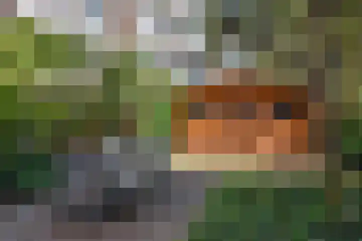 van Halewijnlaan 346 Voorburg thumbnail 19