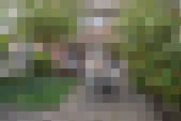 van Halewijnlaan 346 Voorburg thumbnail 20