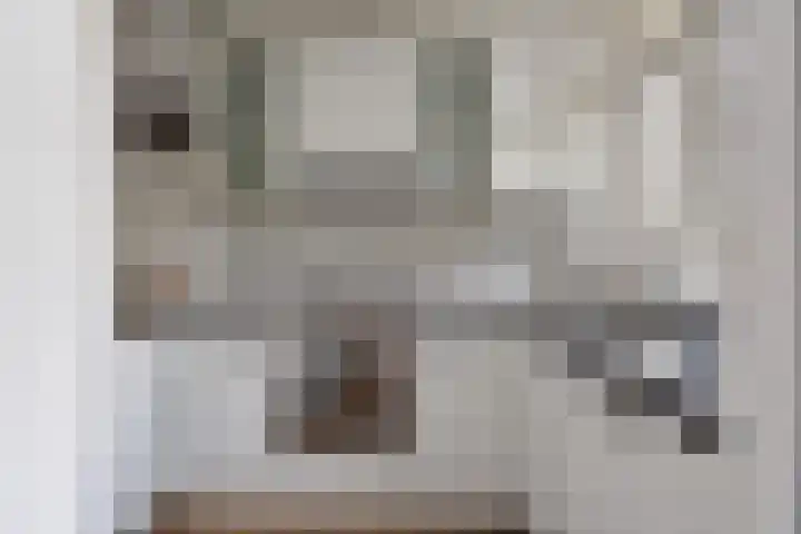 van Halewijnlaan 346 Voorburg thumbnail 22
