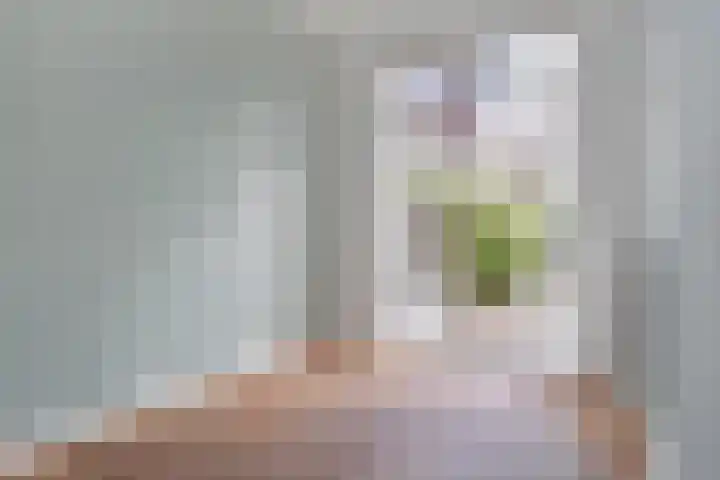 van Halewijnlaan 346 Voorburg thumbnail 25