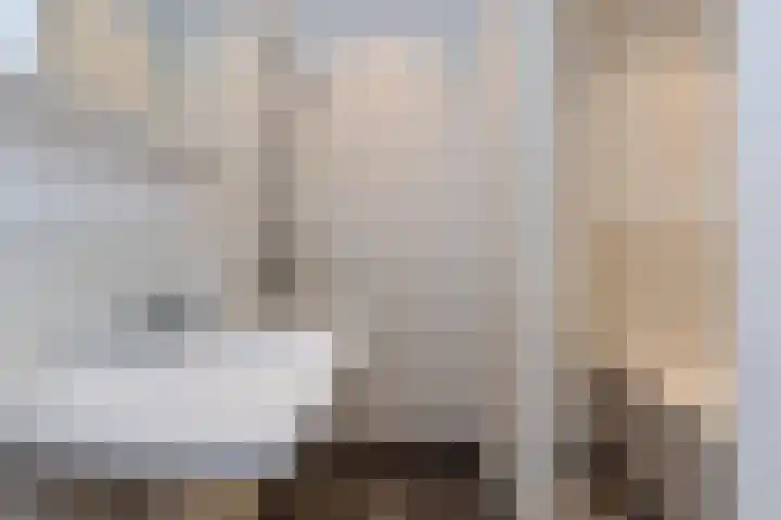 van Halewijnlaan 346 Voorburg thumbnail 31