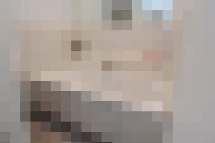 van Halewijnlaan 346 Voorburg thumbnail 32
