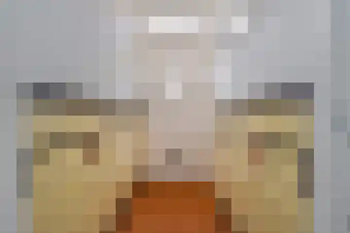 van Halewijnlaan 346 Voorburg thumbnail 35