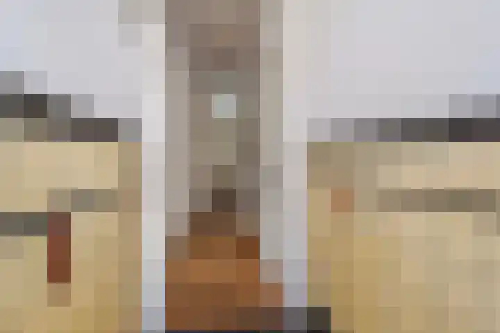 van Halewijnlaan 346 Voorburg thumbnail 7