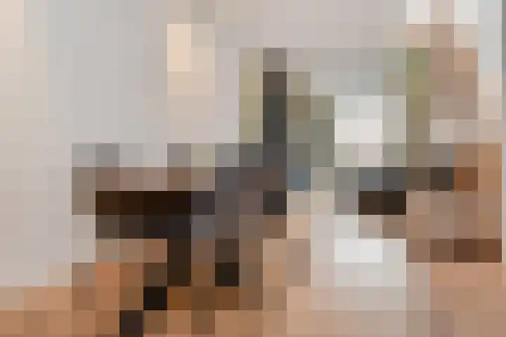 van Halewijnlaan 350 Voorburg thumbnail 12