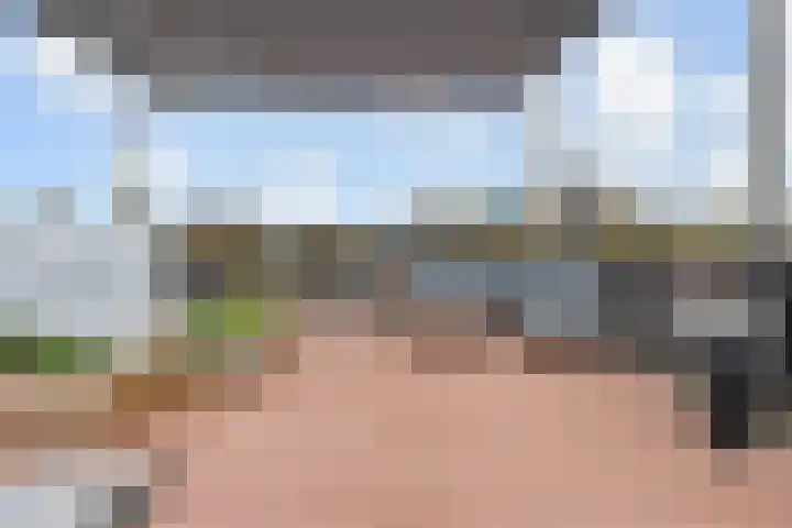van Halewijnlaan 350 Voorburg thumbnail 16