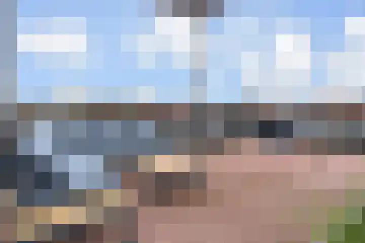 van Halewijnlaan 350 Voorburg thumbnail 17
