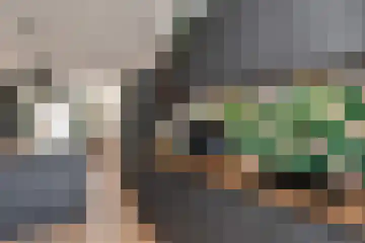 van Halewijnlaan 350 Voorburg thumbnail 32