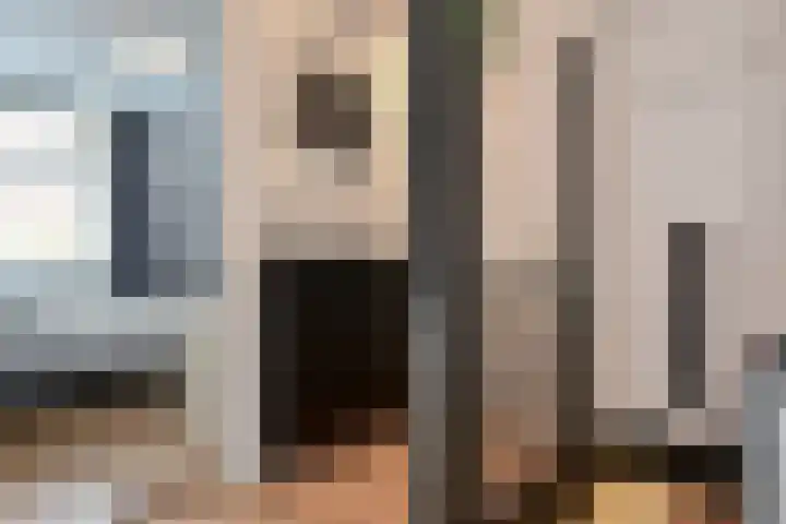 van Halewijnlaan 350 Voorburg thumbnail 34