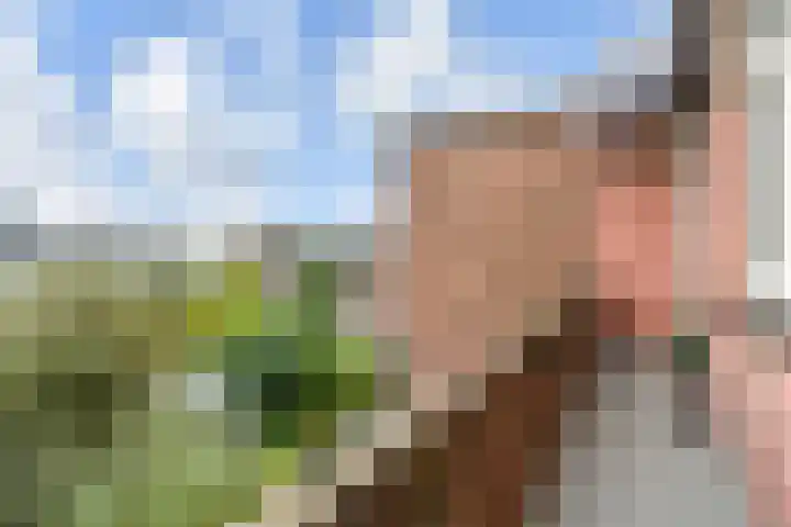 van Halewijnlaan 350 Voorburg thumbnail 44