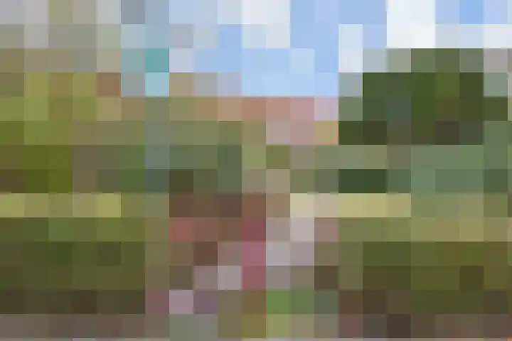 van Halewijnlaan 350 Voorburg thumbnail 49