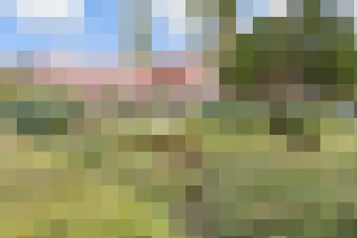 van Halewijnlaan 350 Voorburg thumbnail 50