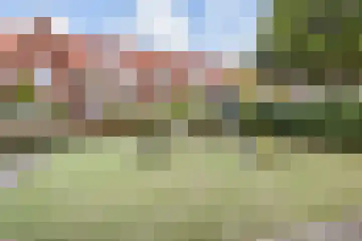 van Halewijnlaan 350 Voorburg thumbnail 51