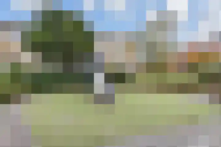 van Halewijnlaan 350 Voorburg thumbnail 52