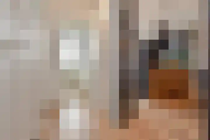 van Halewijnlaan 350 Voorburg thumbnail 8