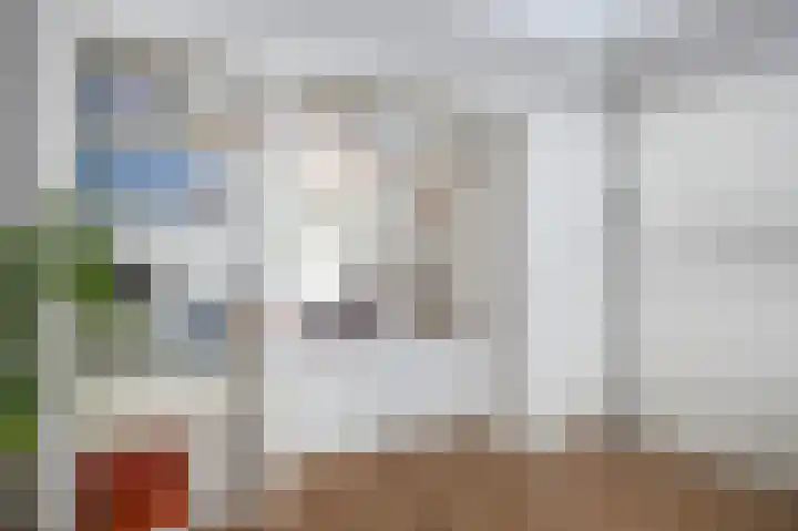 van Halewijnlaan 356 Voorburg thumbnail 12