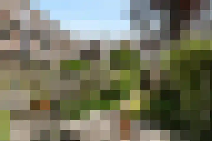 van Halewijnlaan 356 Voorburg thumbnail 16