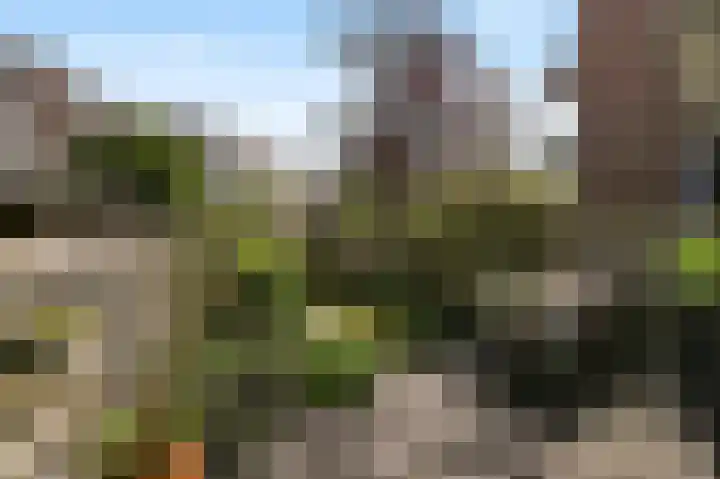 van Halewijnlaan 356 Voorburg thumbnail 17