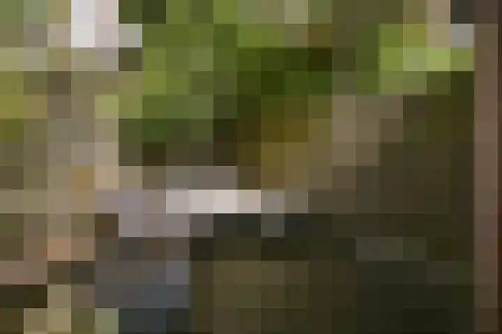 van Halewijnlaan 356 Voorburg thumbnail 18