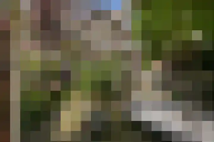 van Halewijnlaan 356 Voorburg thumbnail 19