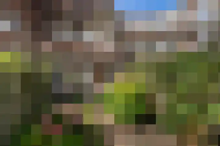 van Halewijnlaan 356 Voorburg thumbnail 20