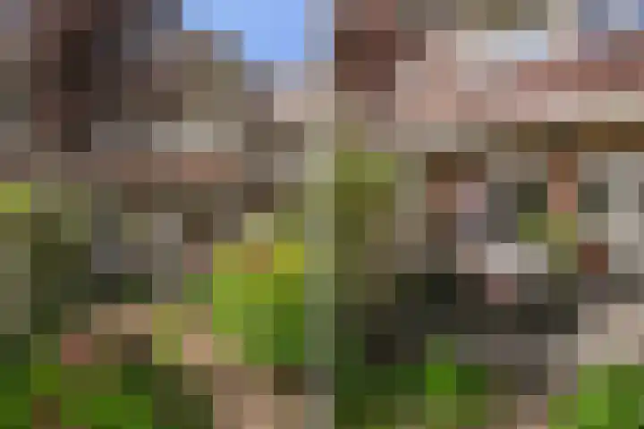 van Halewijnlaan 356 Voorburg thumbnail 21