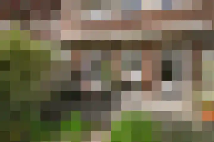 van Halewijnlaan 356 Voorburg thumbnail 22