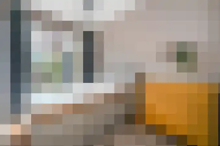 van Halewijnlaan 356 Voorburg thumbnail 28