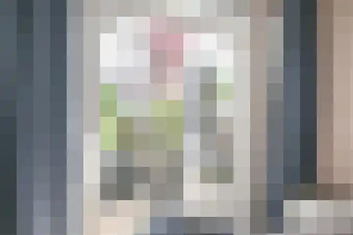 van Halewijnlaan 356 Voorburg thumbnail 29
