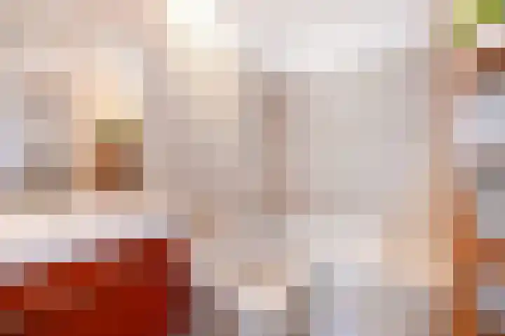 van Halewijnlaan 356 Voorburg thumbnail 31