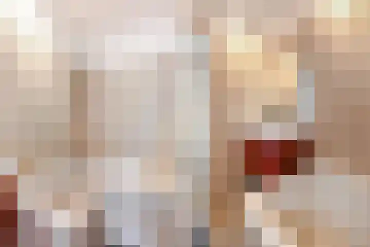 van Halewijnlaan 356 Voorburg thumbnail 33